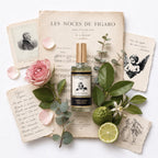 Vakaras Operoje FIGARO VEDYBOS (rožė, citrusas) namų kvapai 100 ml